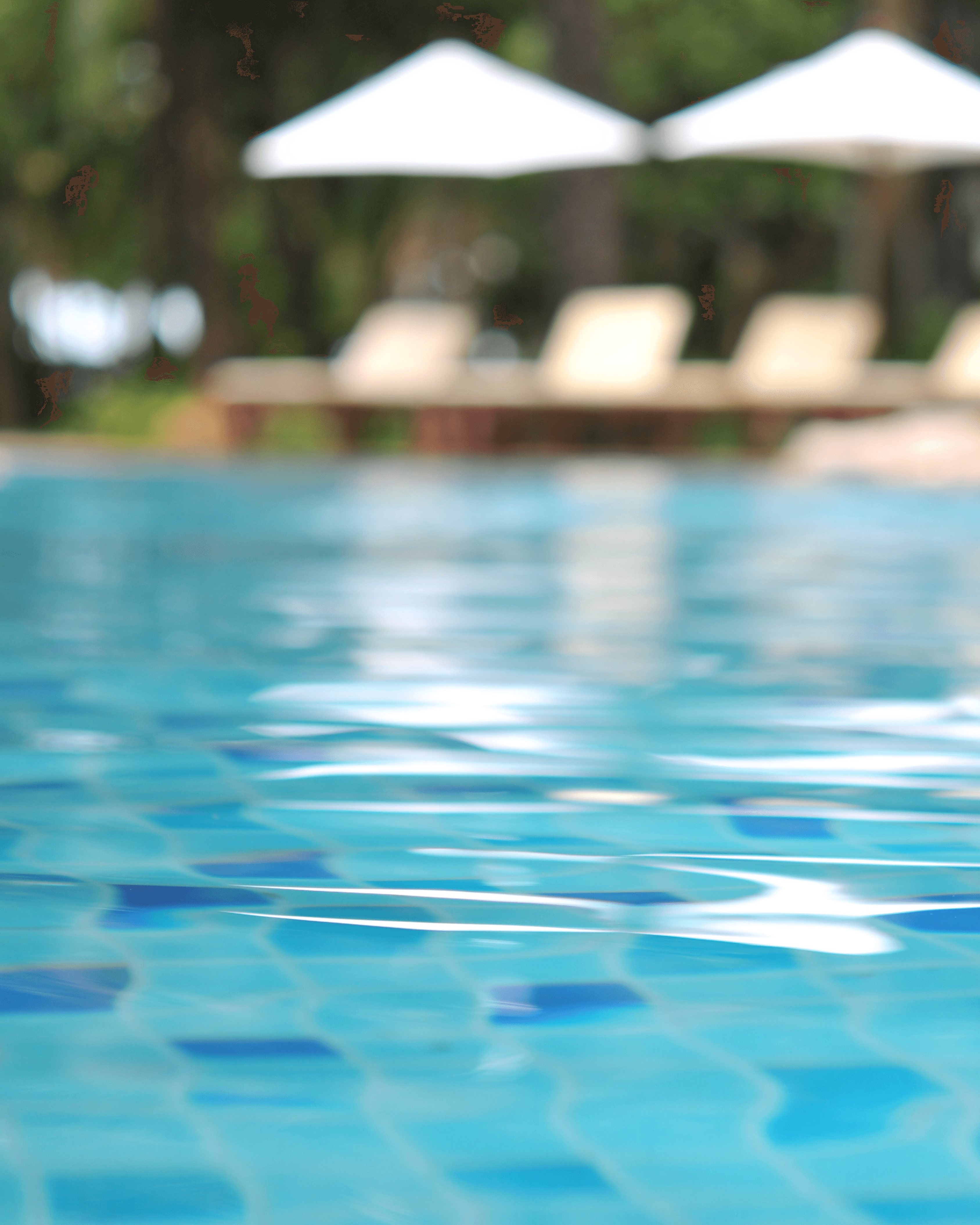 Aquatic